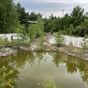 Abandoned school in Nature