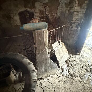 DDT, or the crocodile wasn't home