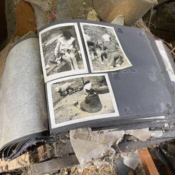 Abandoned farmhouses side by side.