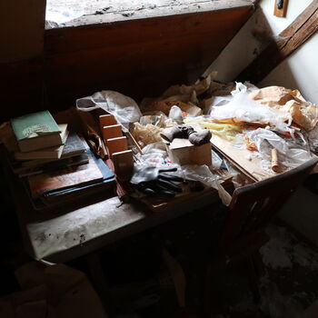 A grove in the borderlands.