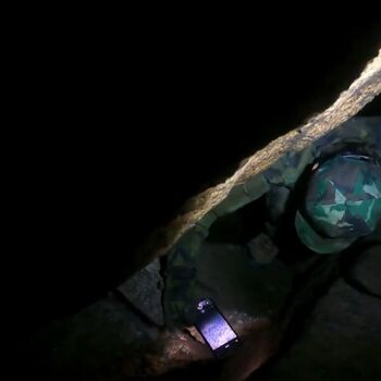 Schmale Galerie-Kletterpflanzen