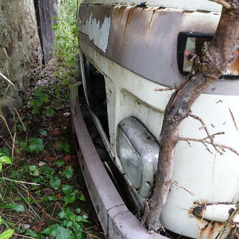 Už asi nevyjedou...