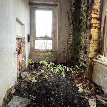 Lung sanatorium 2022