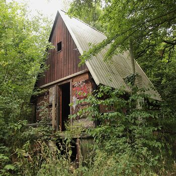 Mill from Snake river