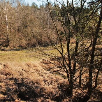 Přejezd P1768 Přejezd P1768