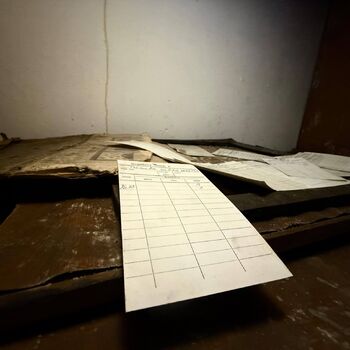 Die Geheimtür ist entdeckt worden...