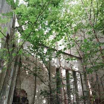 Another hotel Another hotel