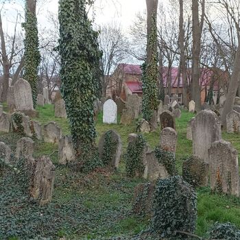 Jüdischer Friedhof 2024