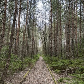 Former Military Area 2022