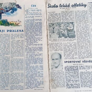 Spitzenschiff 9z10ti...