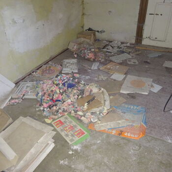 Abandoned children's sanatorium