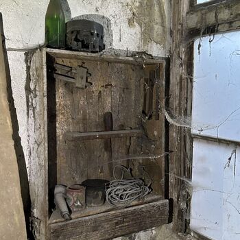 ᴅᴏᴍᴇᴋ ꜱ 🗡️