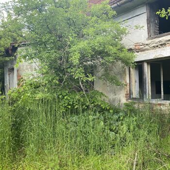 zahrada dům strom zahrada dům strom