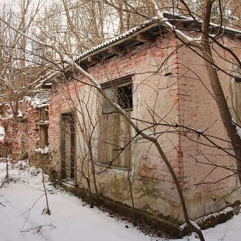 Schalenminen Schalenminen