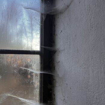 Kuželkárna u zámku 2024