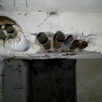 latch catch fastener restraint old