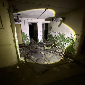 Die Geheimtür ist entdeckt worden...