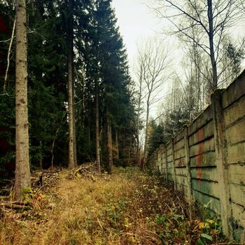 Les strom plot stromy krajina