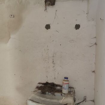 Abandoned house in the Highlands_2024