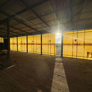 hory, DOLY, černý pes