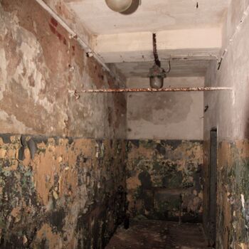 CO cover in the sugar factory