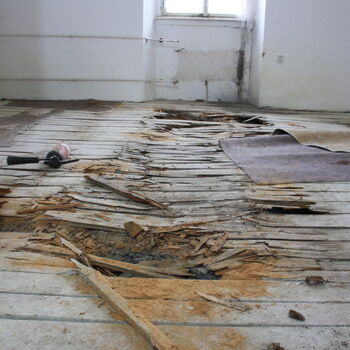 Wo ist der Graf geblieben? Das verlassene Schloss