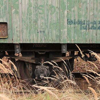 Begrabene Hoffnungen