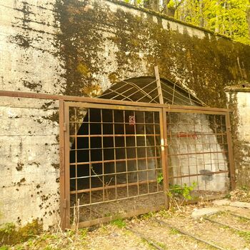 budova struktura skleníkové plot