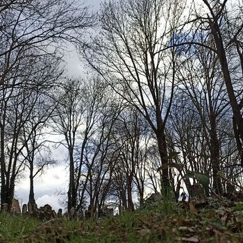 Jüdischer Friedhof 2024