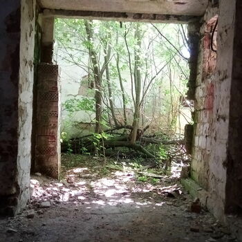 Abandoned cow shed 2021