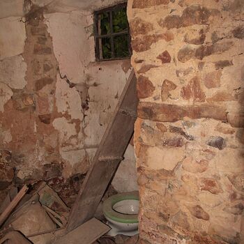 Mill from Snake river