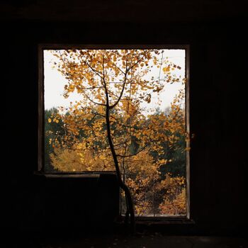 Kyjeváky in der Siedlung Ploužnice 2023