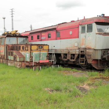 Cargo-Friedhof, nicht nur ein Bardot Cargo-Friedhof, nicht nur ein Bardot