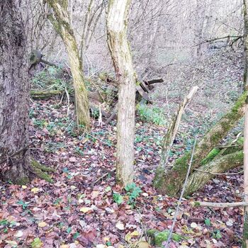 Urbex - Mühle bei V.......🐺🐺🐺🐺🐺🐺 Urbex - Mühle bei V.......🐺🐺🐺🐺🐺🐺