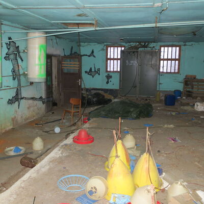 Barevná Drůbežárna