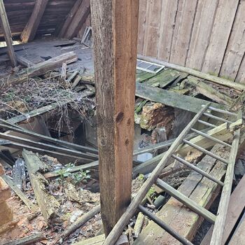 Das Haus beim Plüschtier.