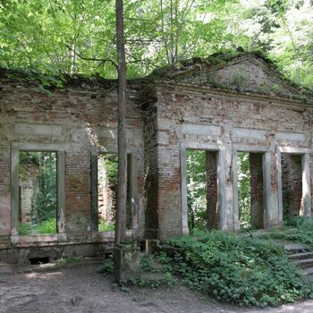 ruins of the blue house