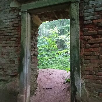 ruins of the blue house
