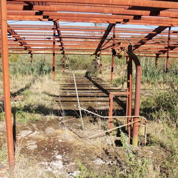 Velkokapacitní kravín Velkokapacitní kravín