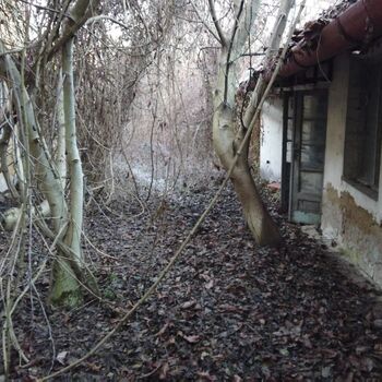 Urbex - Krysi-Schloss 2024