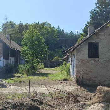 Abandoned House 2022