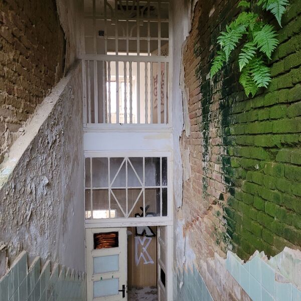 🩺Pneumology clinic.