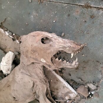 Dům v Praze obklopen šípky.