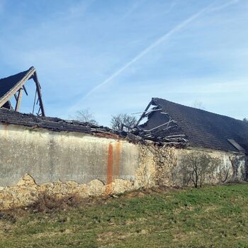 🐕‍🦺POZOR BAD DOG