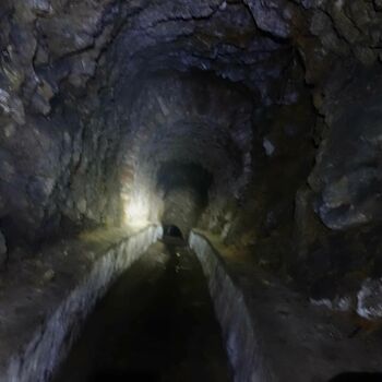 otvor tunel slon savec