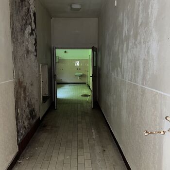 Abandoned school in Nature