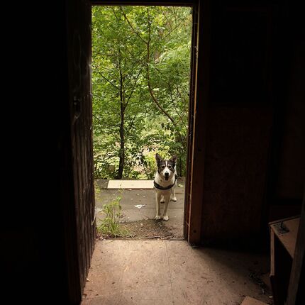 Mill from Snake river