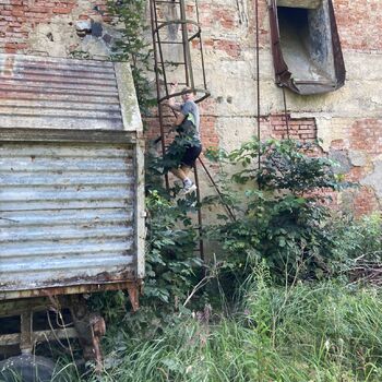 The abandoned sawmill