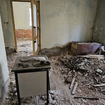 Das Haus beim Plüschtier.