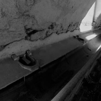 Castle, monastery, brewery and farm in one person 2021